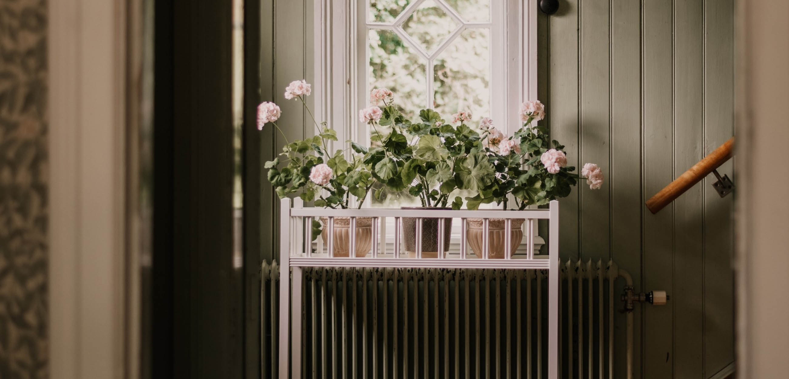 White flower table with pink flowers placed under a window